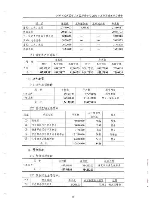 善工审计报告_19_png